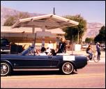 Click on one of the size names above to enlarge this image Click on one of the size names above to enlarge this image