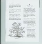 Click on one of the size names below to enlarge this image