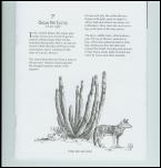 Click on one of the size names below to enlarge this image