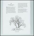 Click on one of the size names below to enlarge this image Click on one of the size names below to enlarge this image