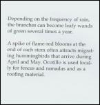 Click on one of the size names below to enlarge this image Click on one of the size names below to enlarge this image