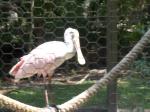 Click on one of the size names above to enlarge this image Click on one of the size names above to enlarge this image