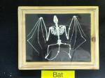 Click on one of the size names above to enlarge this image Click on one of the size names above to enlarge this image